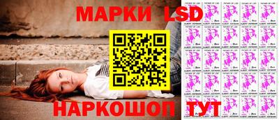гашик Сланцы