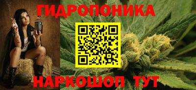 гашик Сланцы