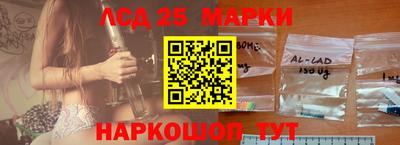 гашик Сланцы